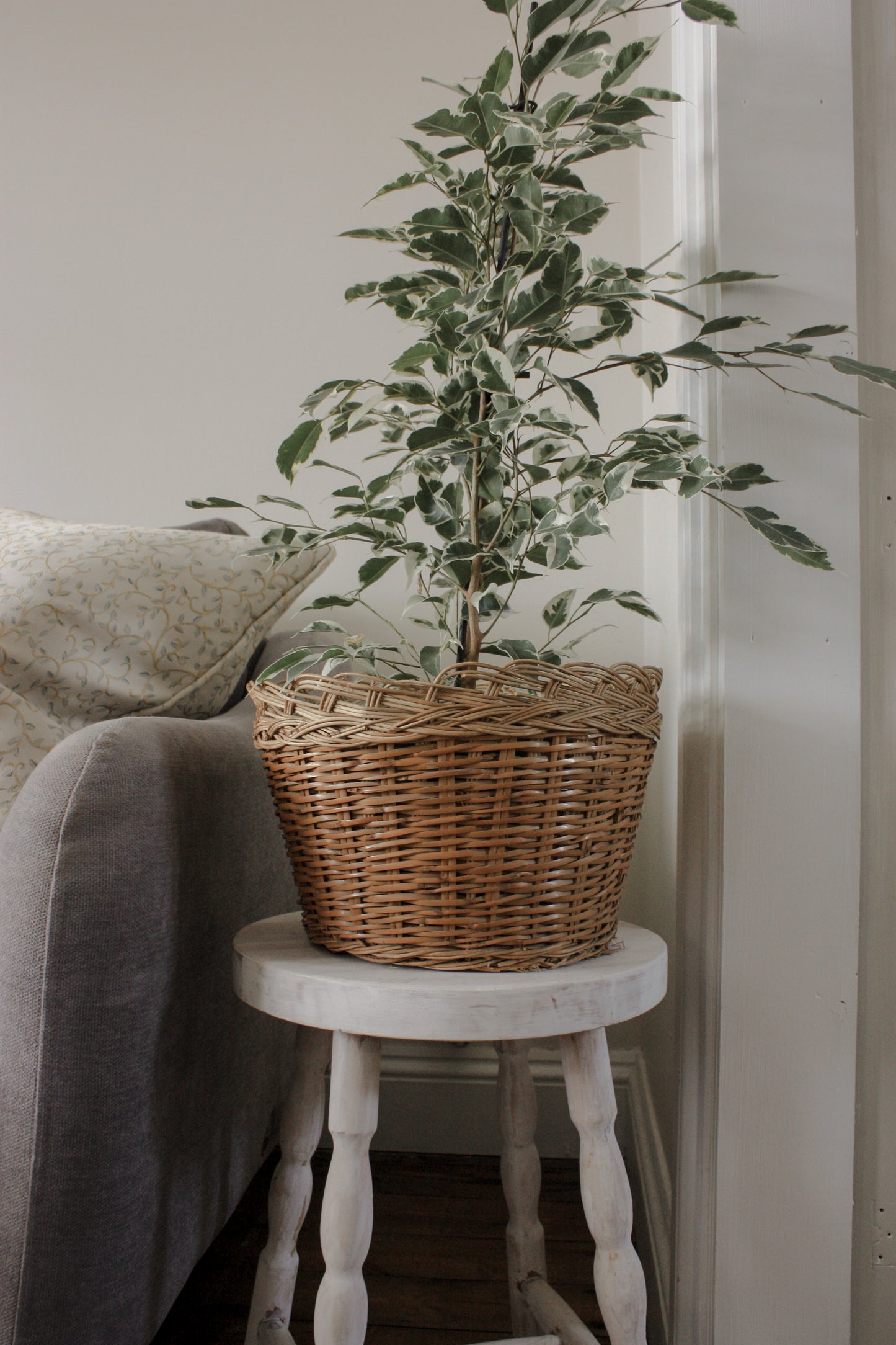 Vintage woven planter basket