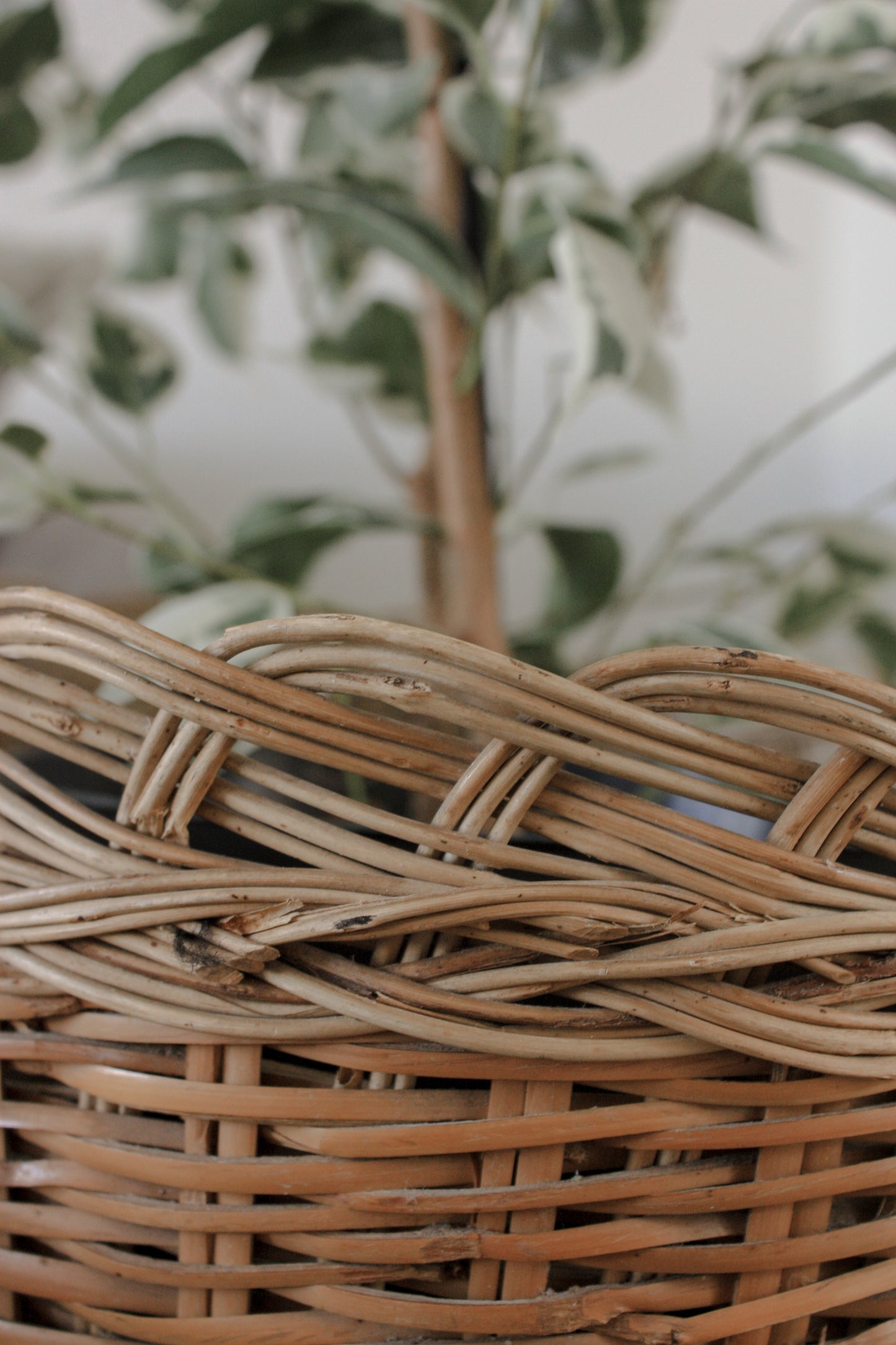 Vintage woven planter basket