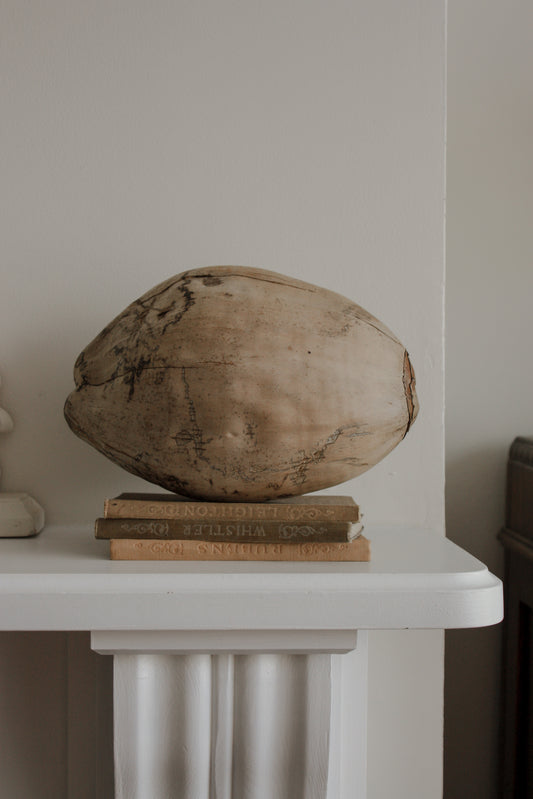 Dried coconut decorative object