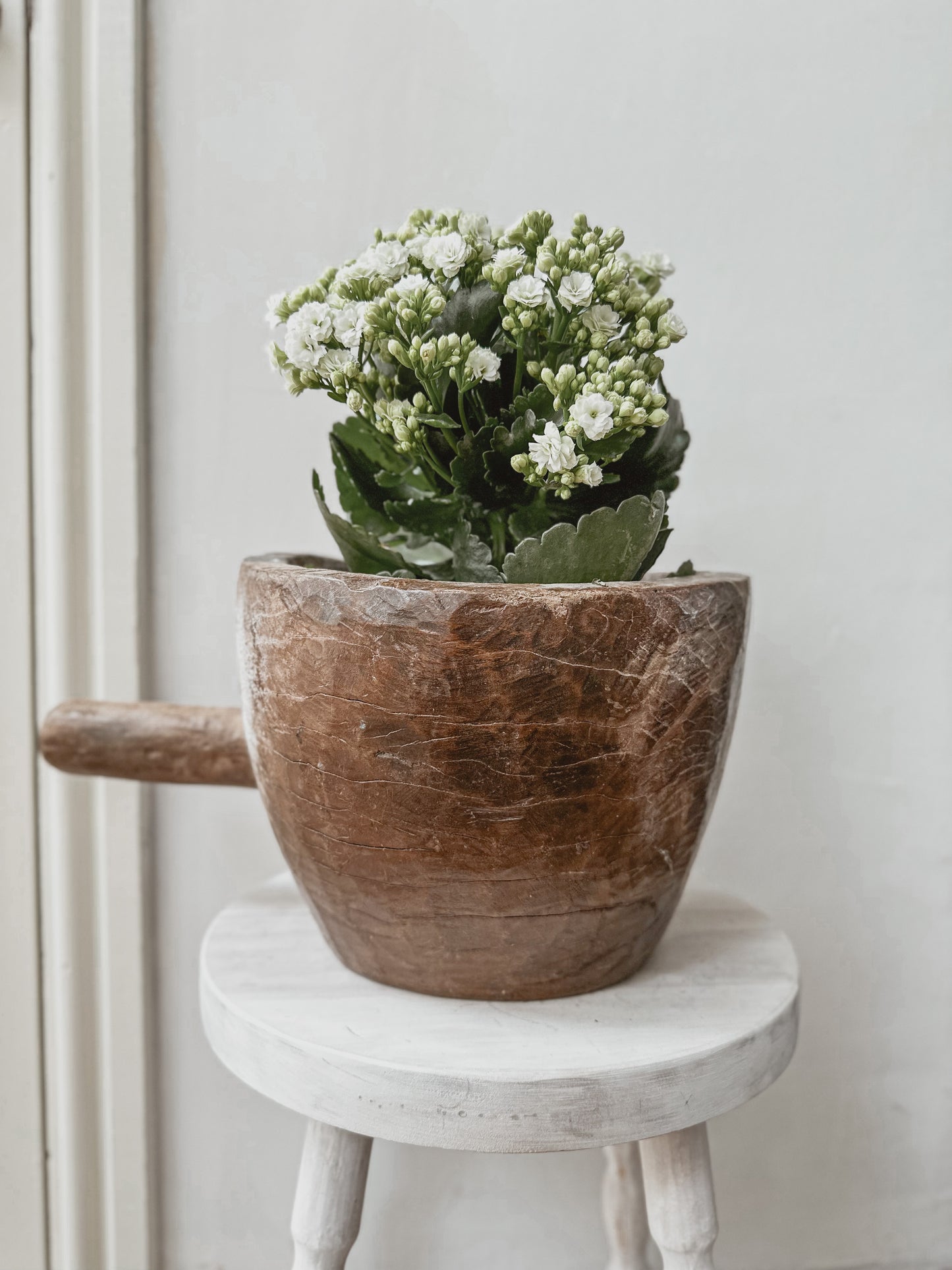 Large vintage wooden scoop